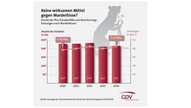 Photo: GDV